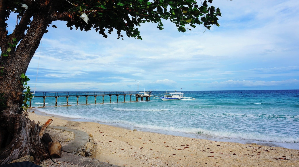 A nice place to go to after whale watching in Oslob. A day tour costs Php 1,500 per person on weekdays and Php 2,000 per person on weekends. The fee includes ferry transfers to and from the island, welcome drinks, access to all facilities & activities, plus the exquisite lunch.
The resort is huge; it has a sandbar, a huge swimming area, a lagoon for kayaking, lighthouse and more. There's a trekking trail too that allows you to explore the entire resort. I intend to go back there for a longer stay. The resort is very private and secluded & gives you that peaceful ambiance. 😊