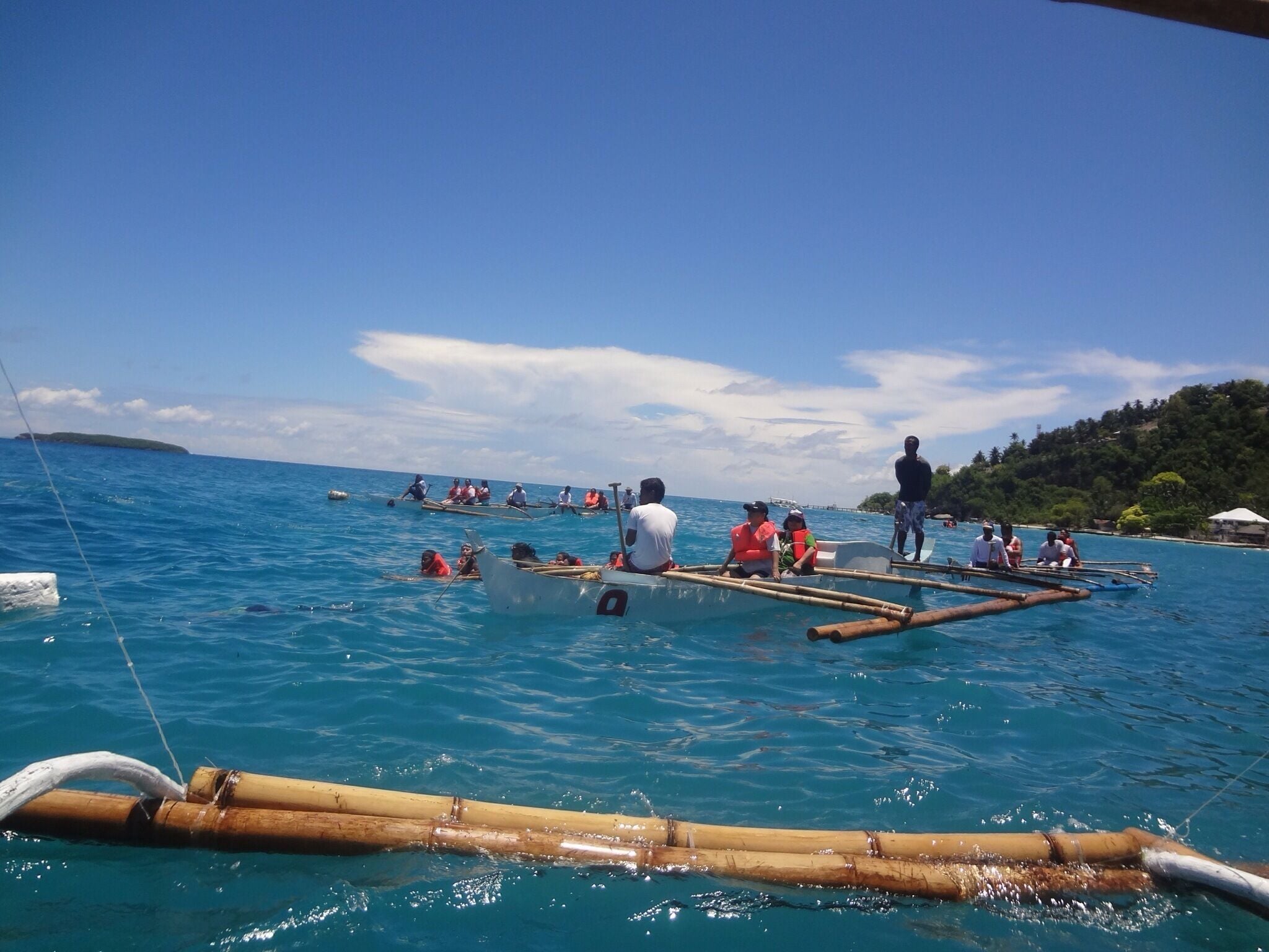 Close encounter with whales