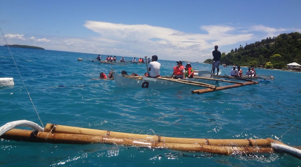 Close encounter with whales