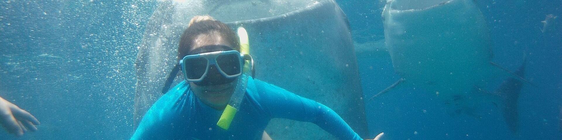 Swam with the whale sharks! ☺
Oslob, Philippines