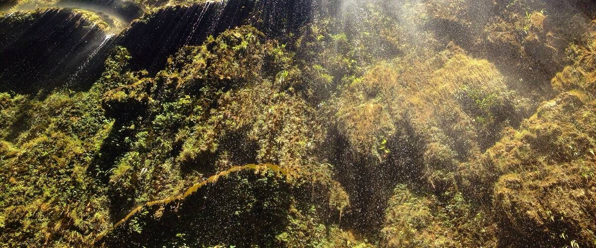 10 min drive from the whaleshark spot this pearl of a waterfall is hiding. As you approach you think "hmm this is not so amazing", but when you get close, you realize that this waterfall is quite unique. This was for me one of the better ones I've seen on my travels