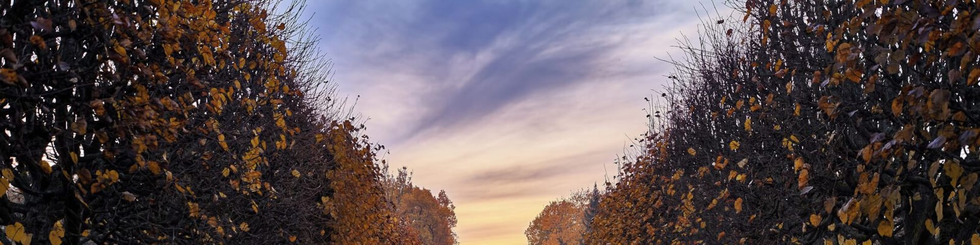 The Hermitage Pavilion
#GreatOutdoors