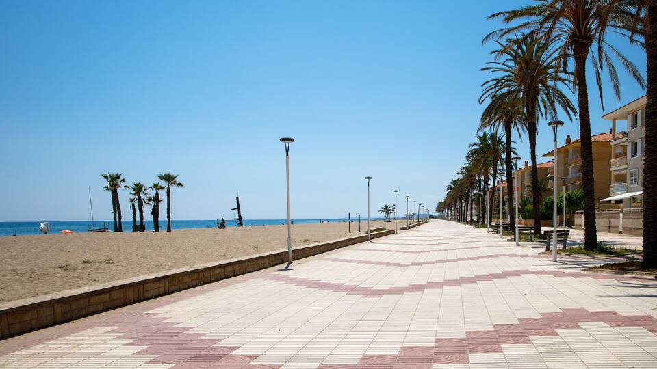A beachside promenade with palm trees, a sandy beach, and a clear blue sky.