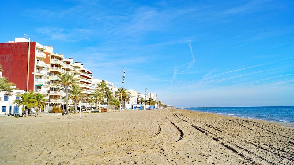 A beach with footprints, palm trees, and a row of white buildings with balconies.