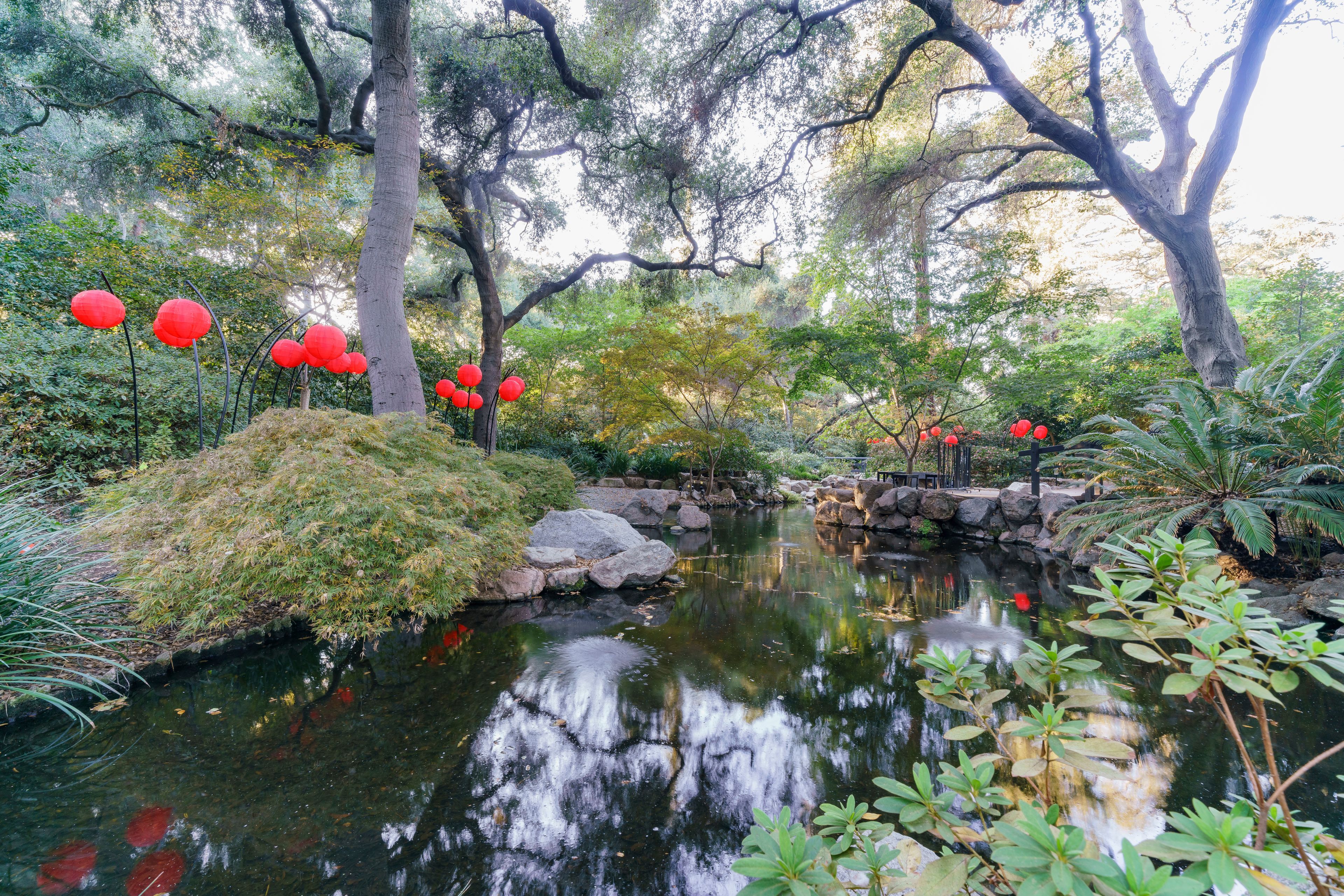 Many red lantern in Japanese garden of Descanso Garden