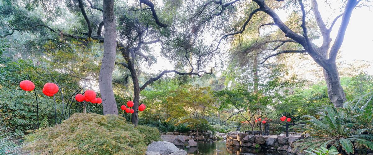 Many red lantern in Japanese garden of Descanso Garden