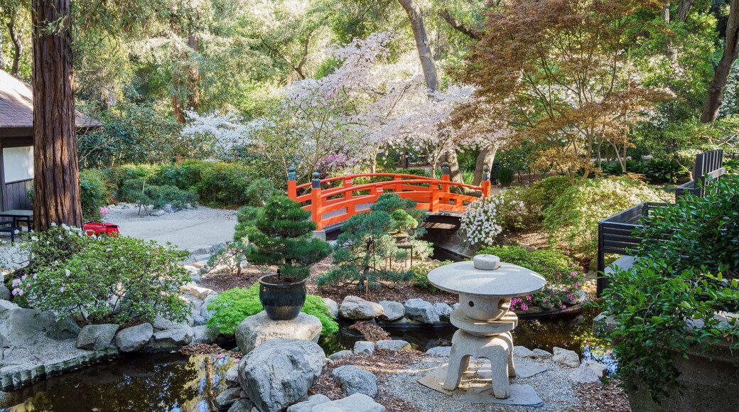 Beautiful flower blossom at Descanso Garden