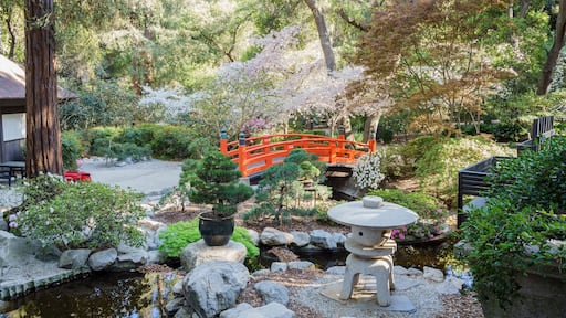 Beautiful flower blossom at Descanso Garden