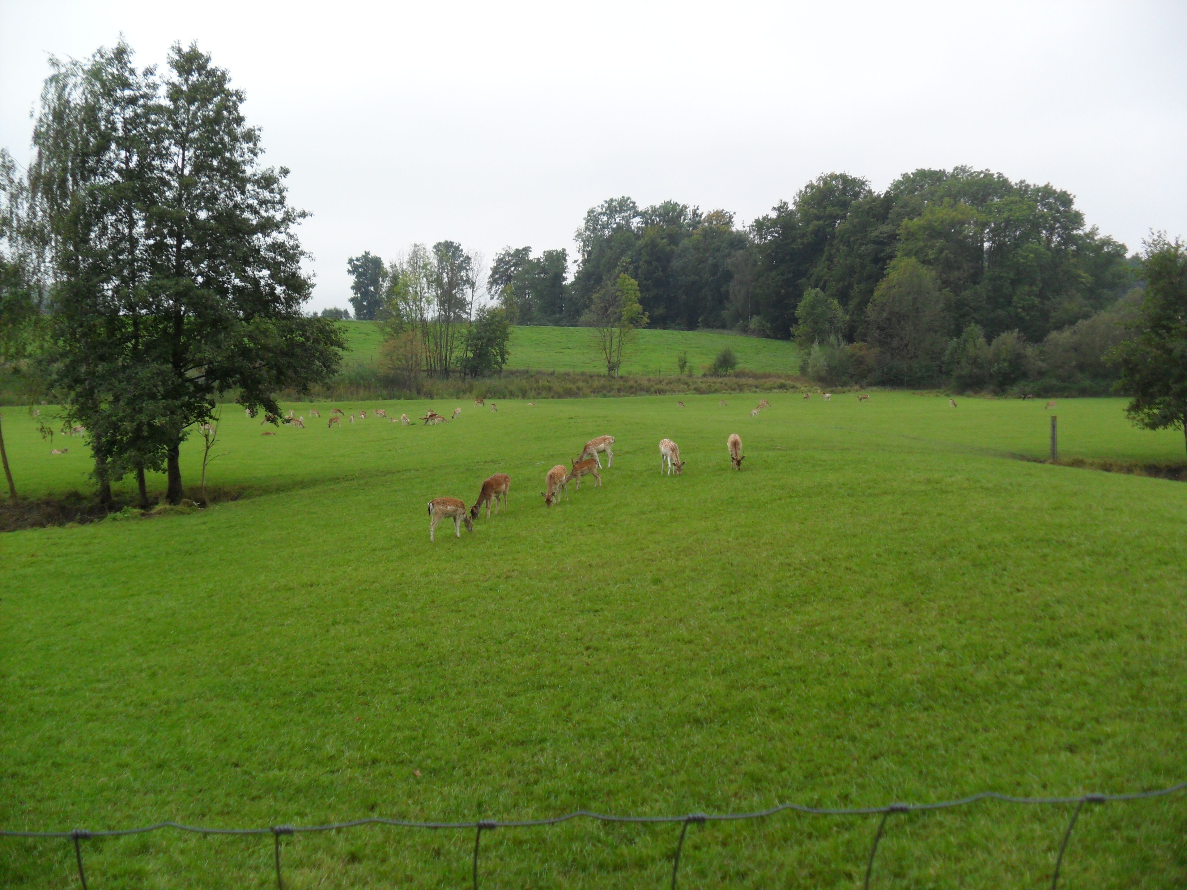 23.09.2012. _ Feldkirchen-Westerham