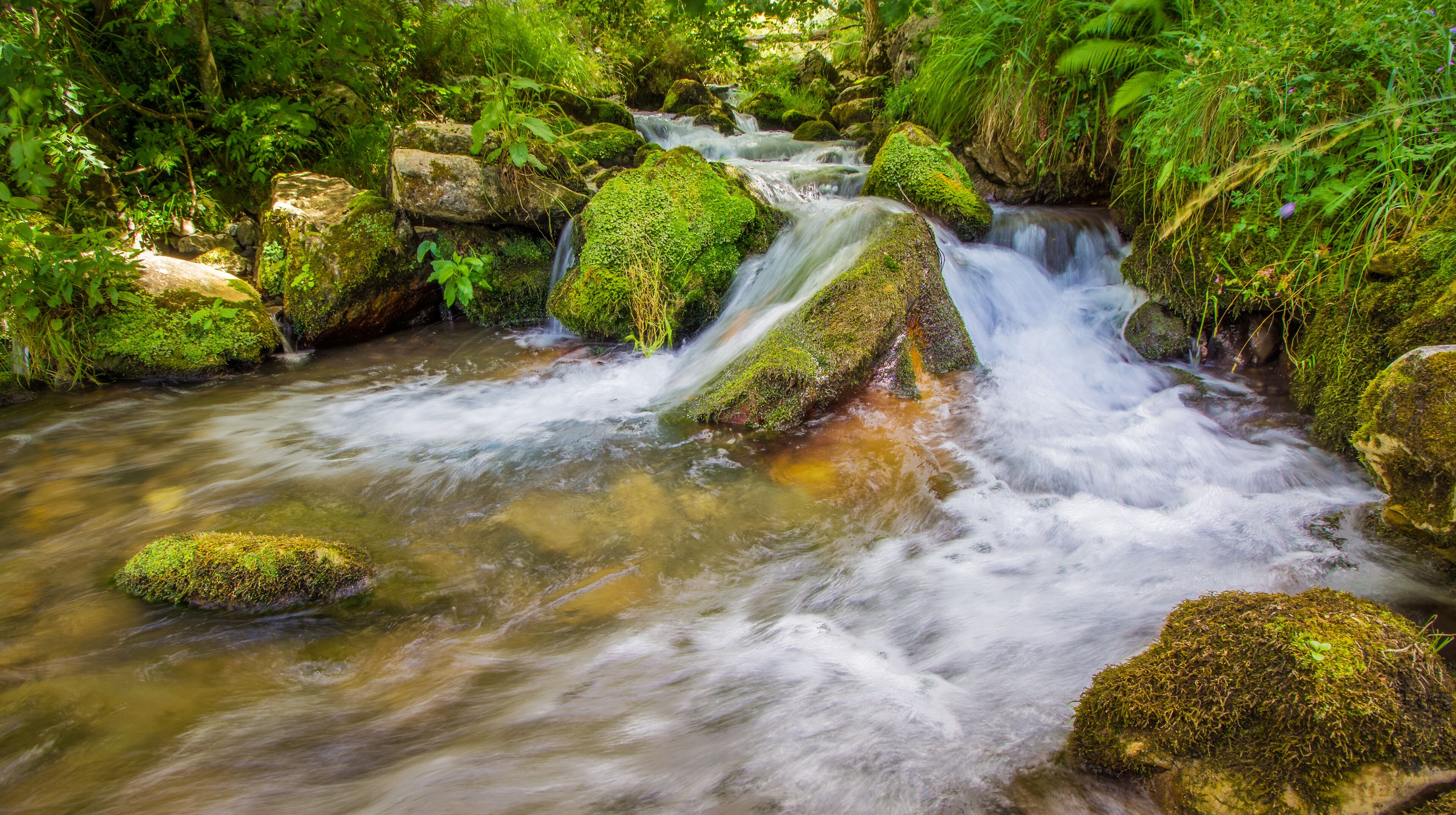 A flowing stream with moss-covered rocks and lush greenery.