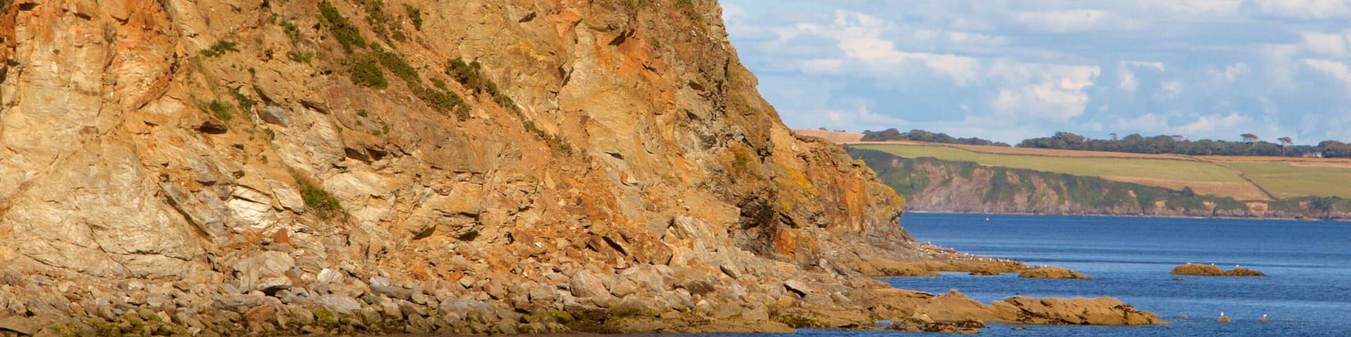 A coastal cliff with rocky terrain and sparse vegetation.