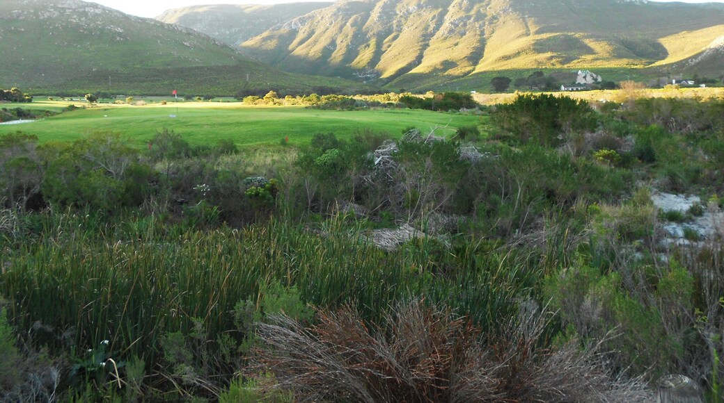 Great view while going for a walk