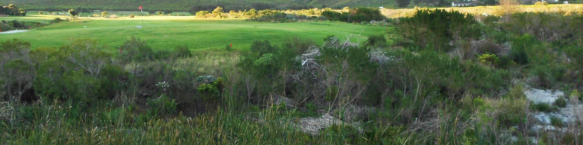 Great view while going for a walk