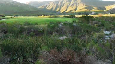 Great view while going for a walk