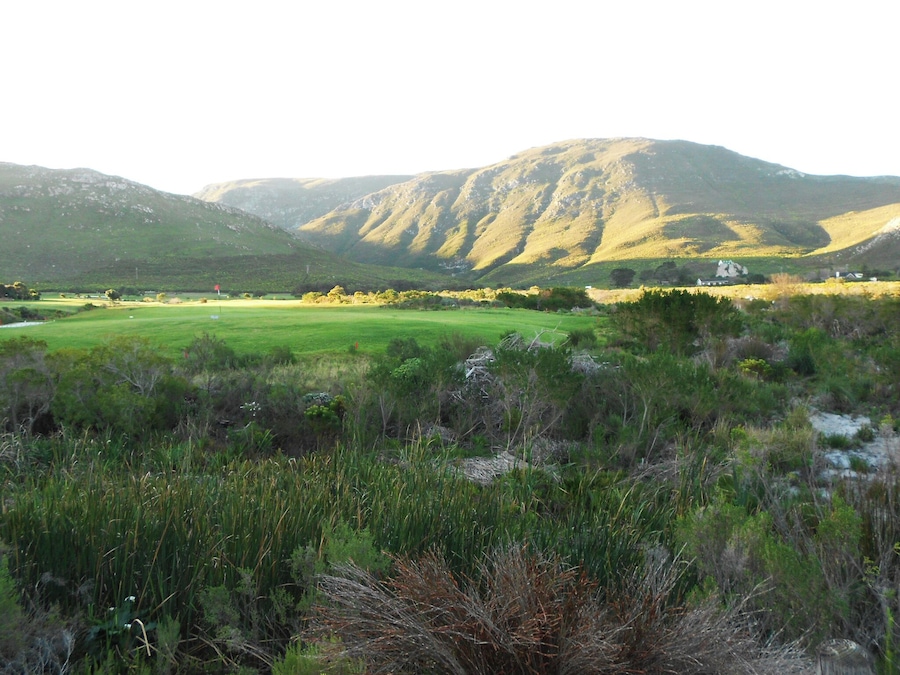 Great view while going for a walk