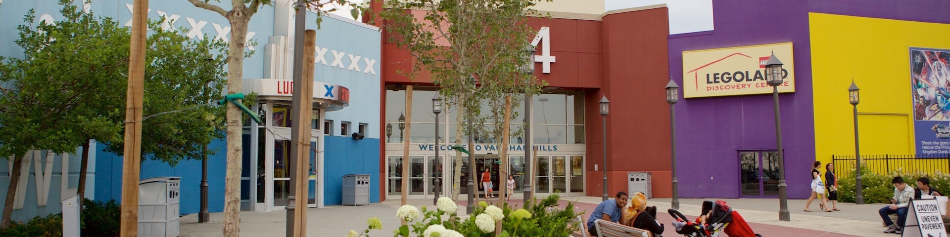 Vaughan Mills Mall which includes flowers as well as a small group of people