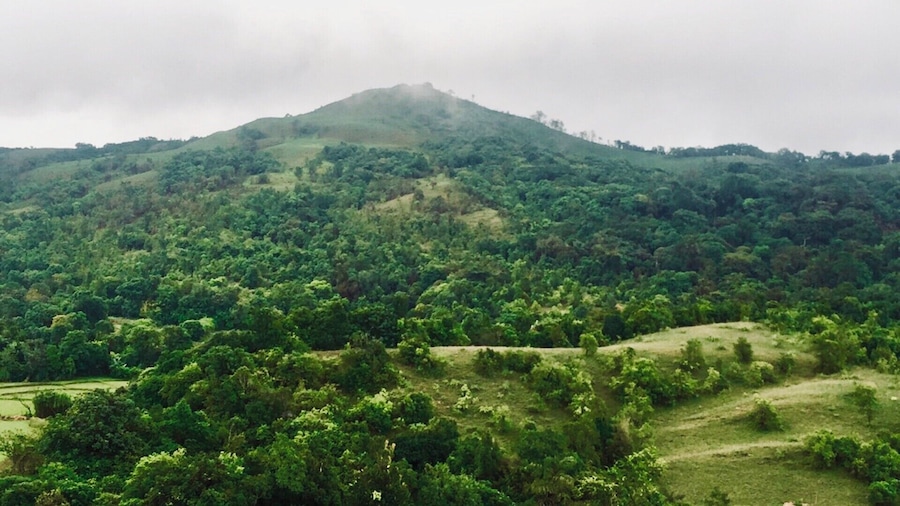 #LifeAtExpedia
Just a random stop in Coorg.. The different shades of Green and types of plantation add to the beauty of the city!