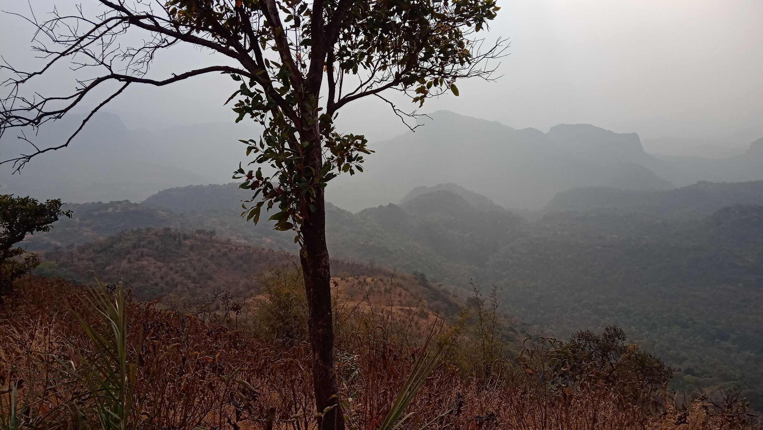 Sunset point of highest peak of Satpura range