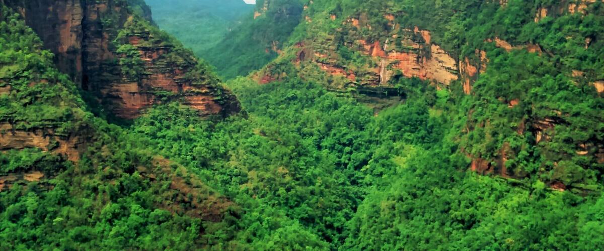 A canyon with steep cliffs and dense green vegetation.