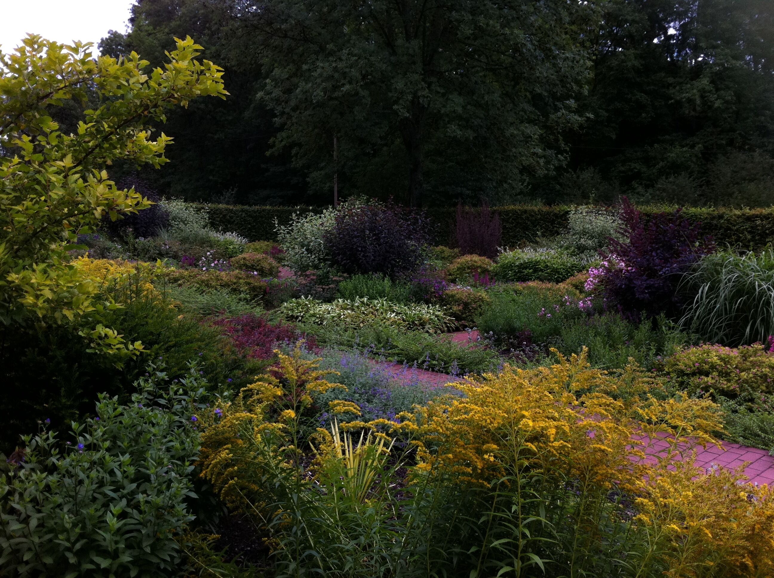Foto Übersicht Garten ohne Grenzen