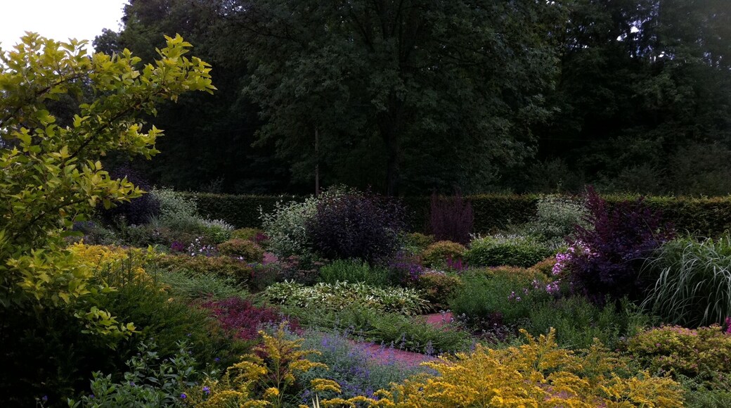 Foto Übersicht Garten ohne Grenzen