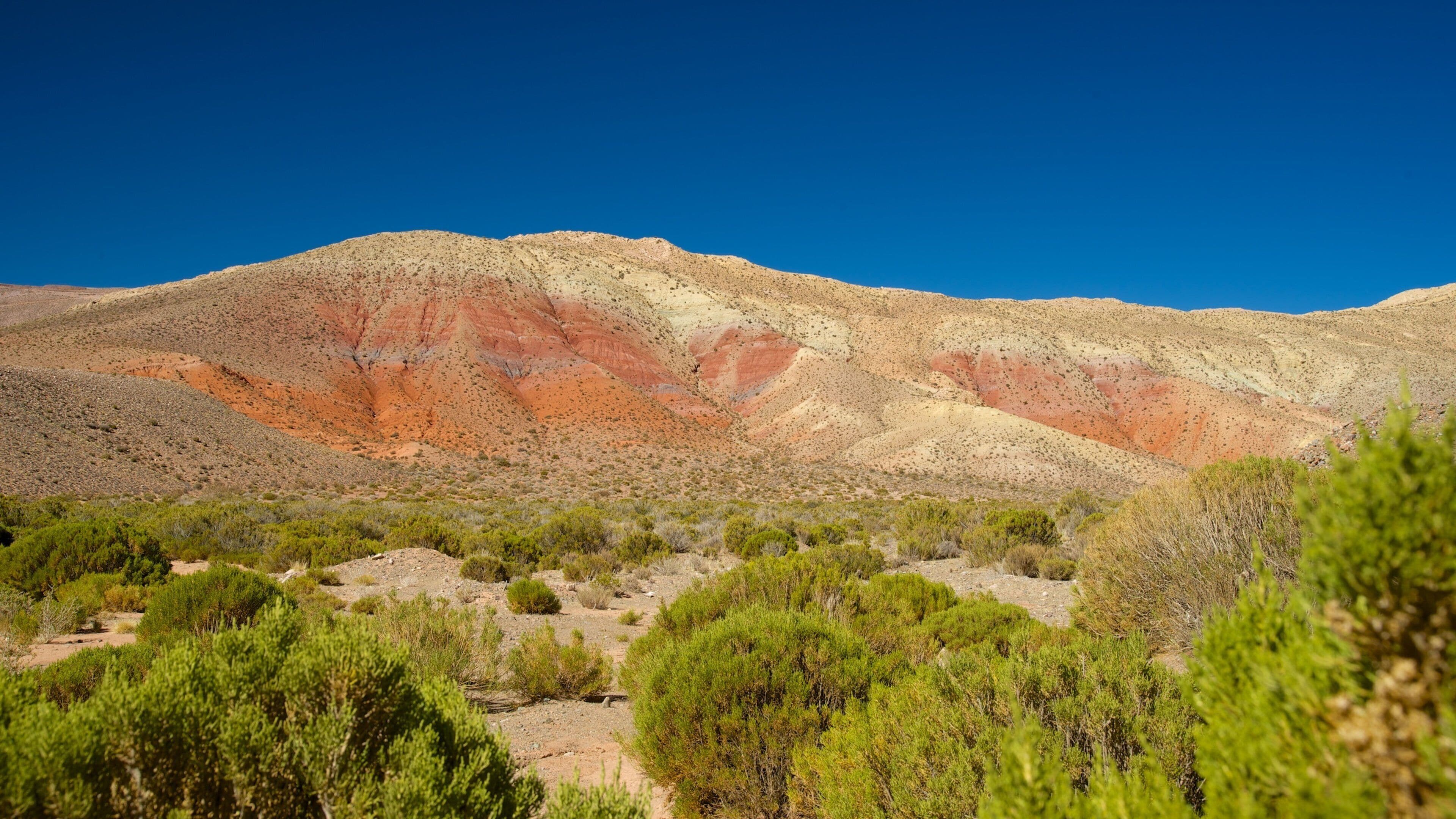Jujuy montrant montagnes et vues du désert