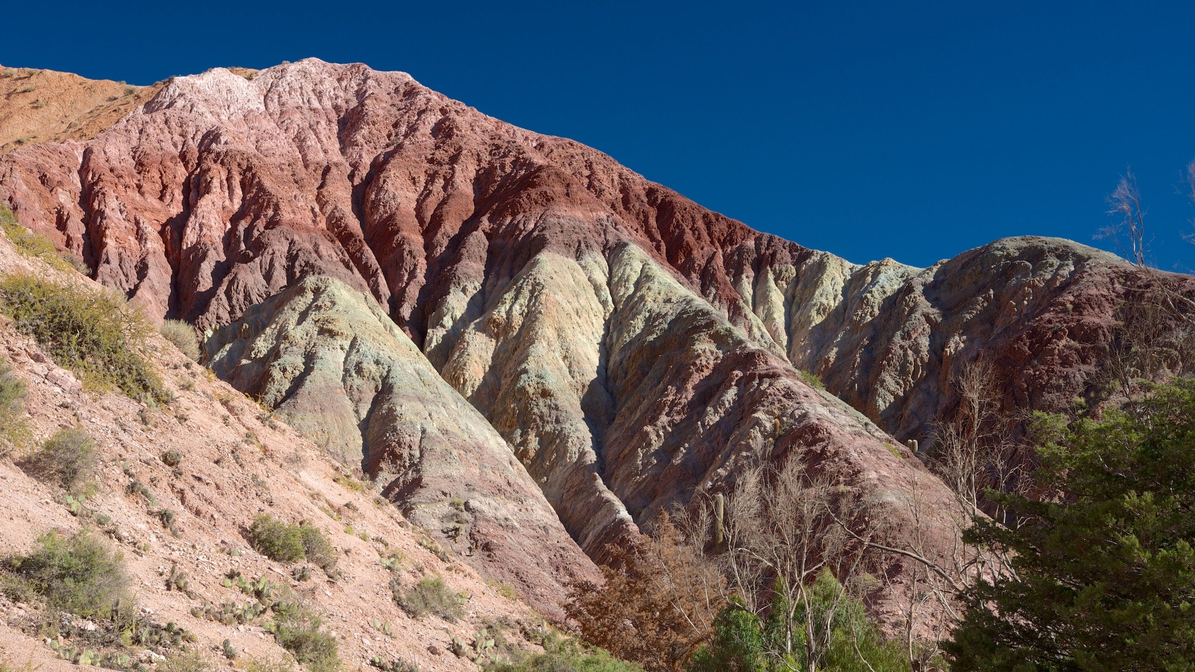 Purmamarca showing mountains and desert views
