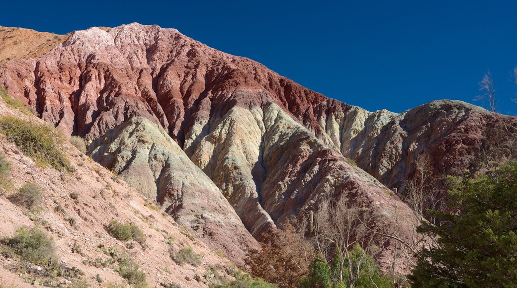 Purmamarca que incluye montañas y vista al desierto