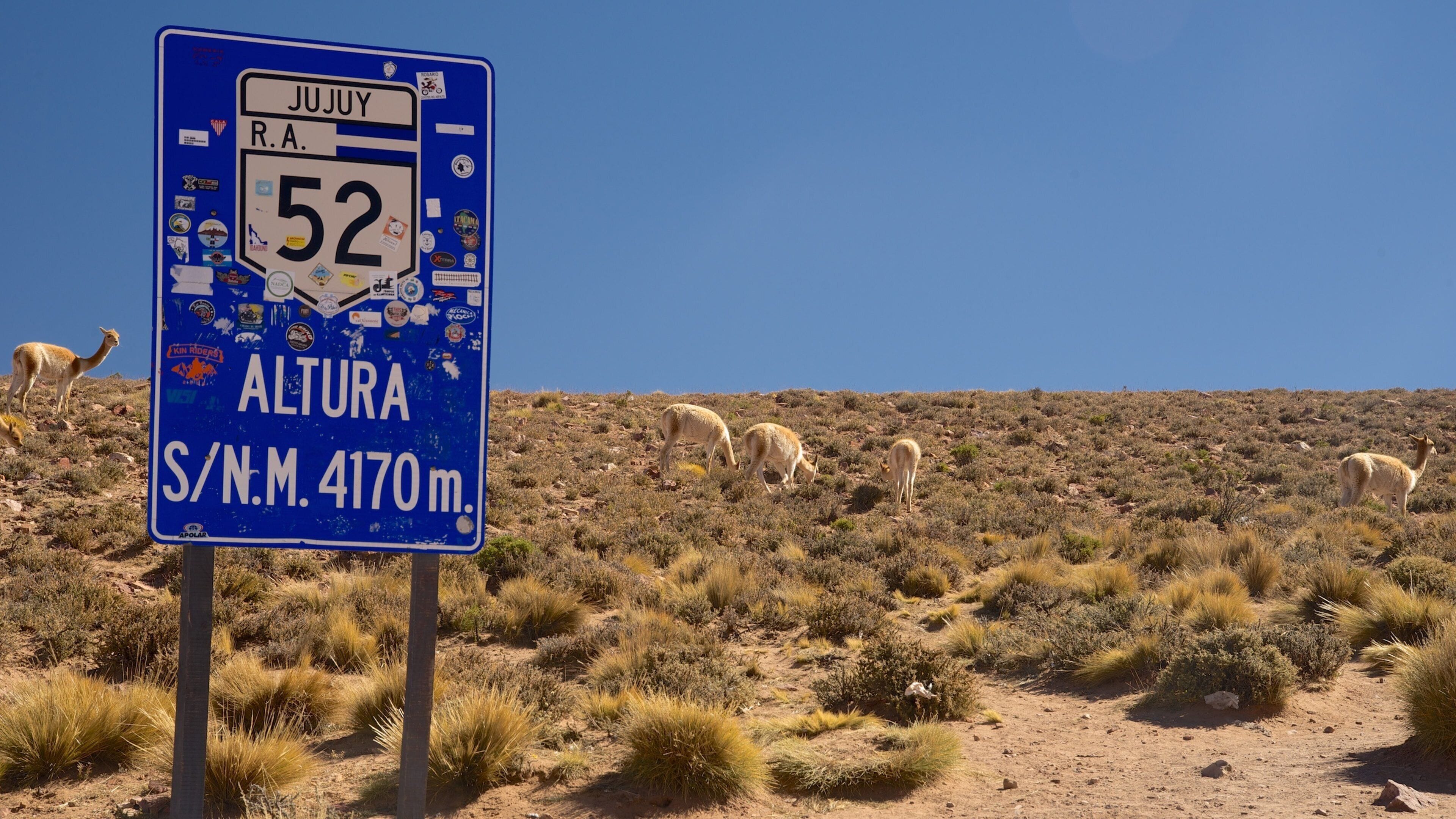 Jujuy showing signage