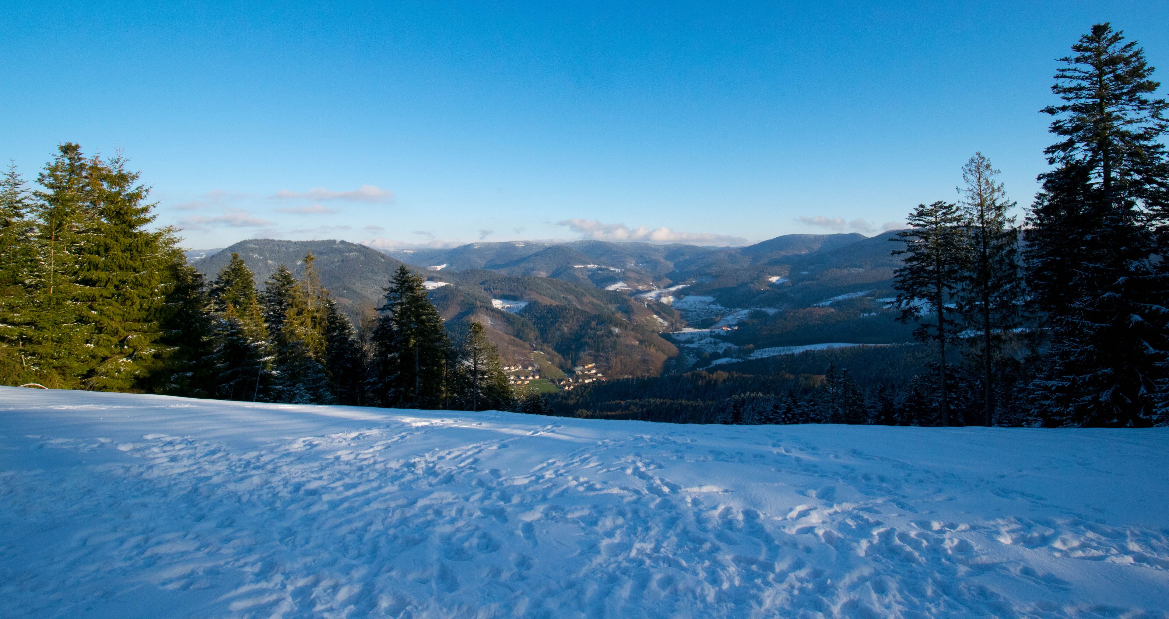 Bad Peterstal-Griesbach