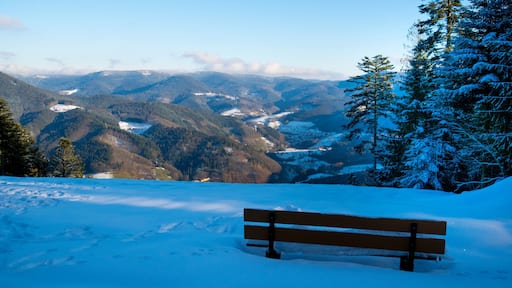 Bad Peterstal-Griesbach