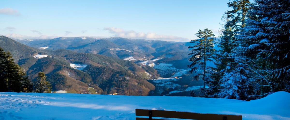 A snow-covered bench overlooking a mountainous landscape with a valley and snow-covered trees.