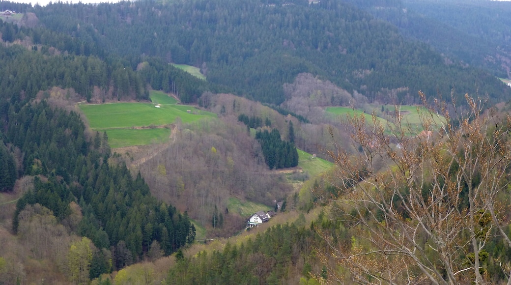 Blick vom Habererturm nach Norden zum Brandkopf und Buch; mittig links der Buchkopfturm Oppenau