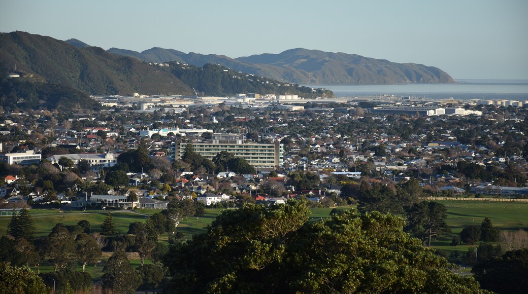 Wellington and Petone Harbour views, Lower Hutt, New Zealand