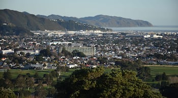 Petone
