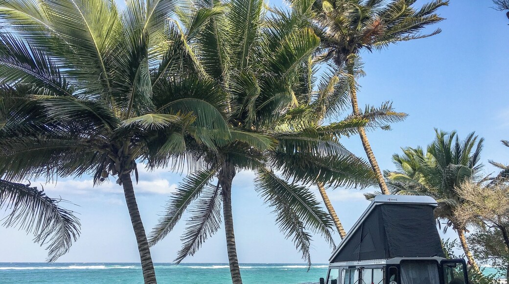 Camping on an endless white sandy beach under palm trees. It simply is paradise.
The restaurant is reasonably priced and the food good. In town you can find the best nyama choma at a place called Kombani Joint.
#OnTheRoad #camp #roadtrip #BeachTips