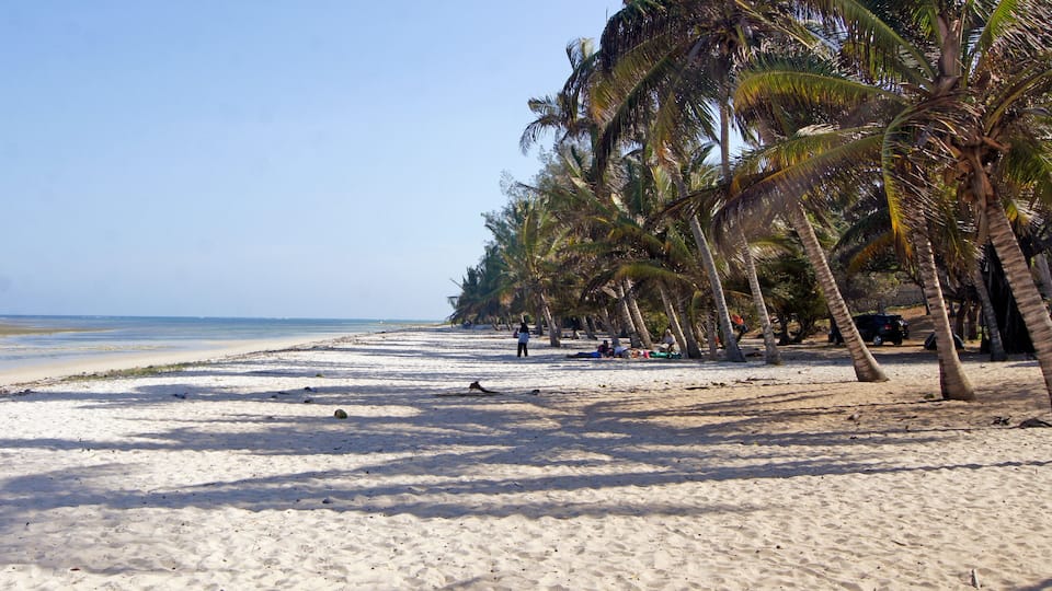 A sandy beach with palm trees and a clear sky.
