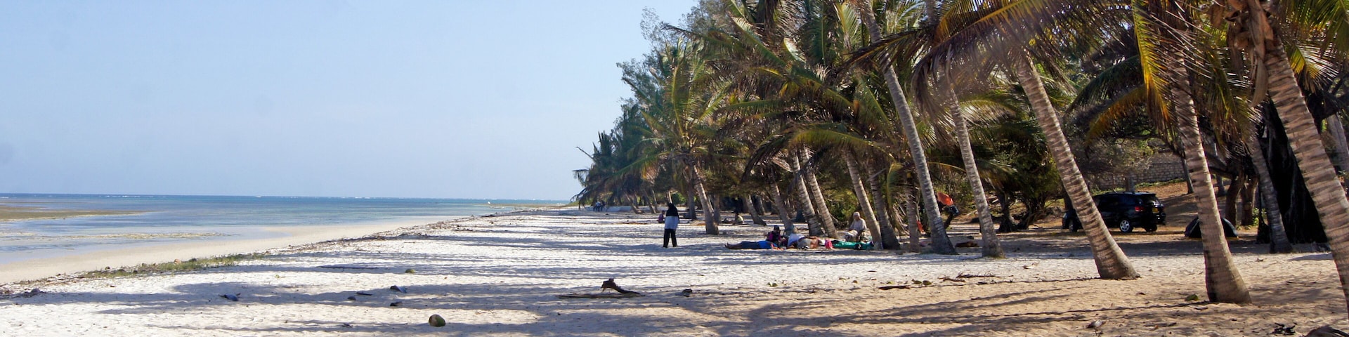 Uma praia arenosa com palmeiras e céu claro.