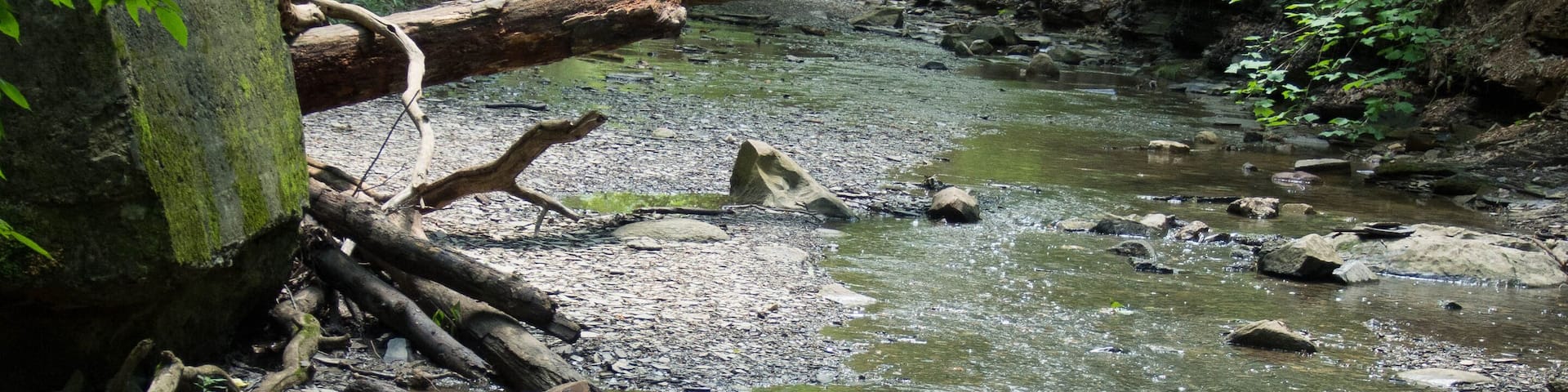 Down Tree Over a River