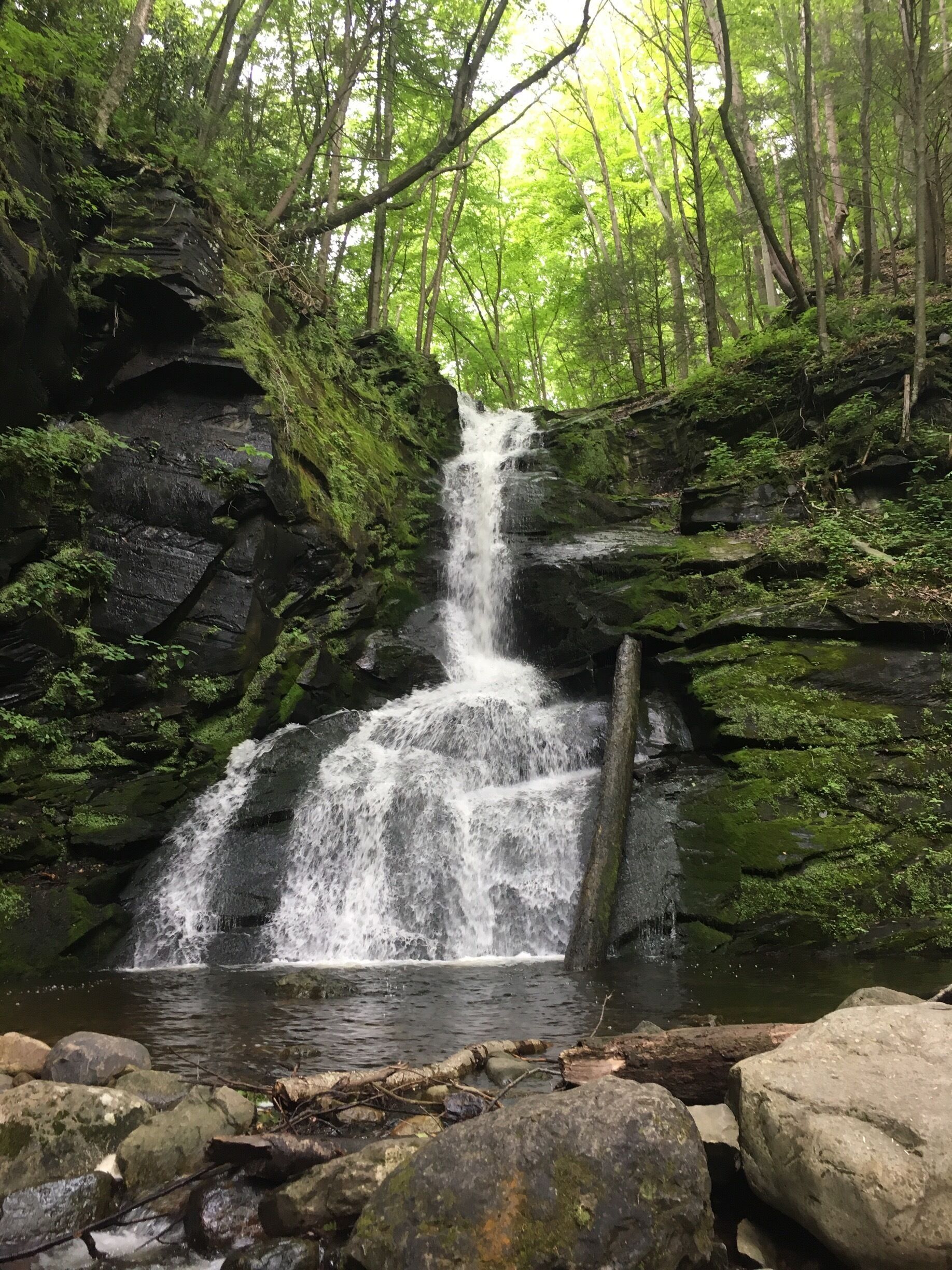 A waterfall cascading over moss-covered rocks in a forested area.