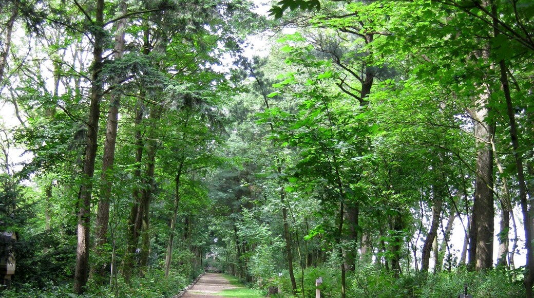 Total view of Stations of the Cross at the Kalvarienberg in Bad Laer-Hardensetten
