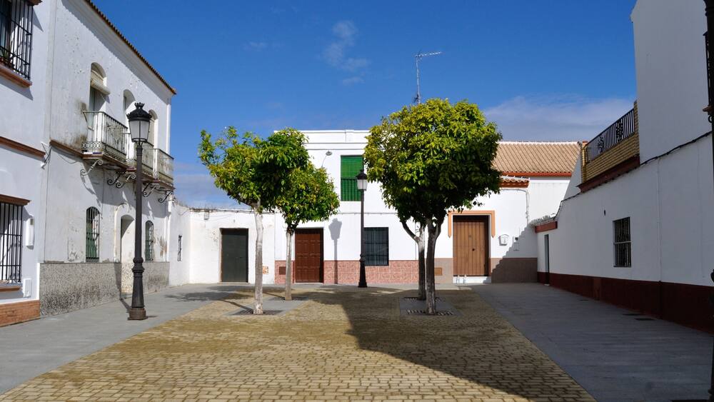 A cobblestone courtyard with white buildings, two trees, and a clear blue sky.