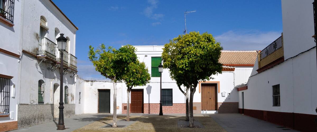 A cobblestone courtyard with white buildings, two trees, and a clear blue sky.