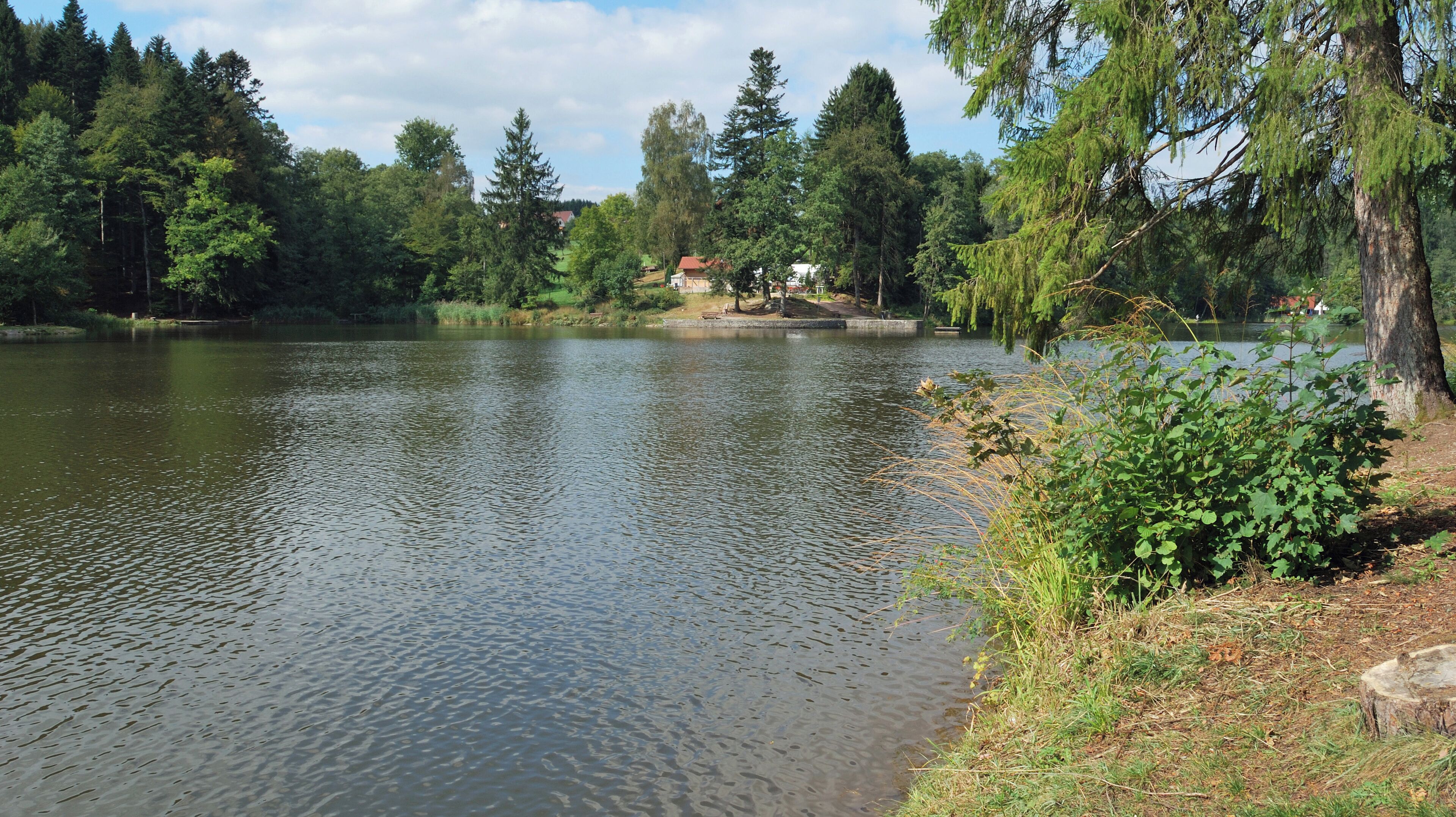 A calm lake surrounded by dense trees and a small building in the background.
