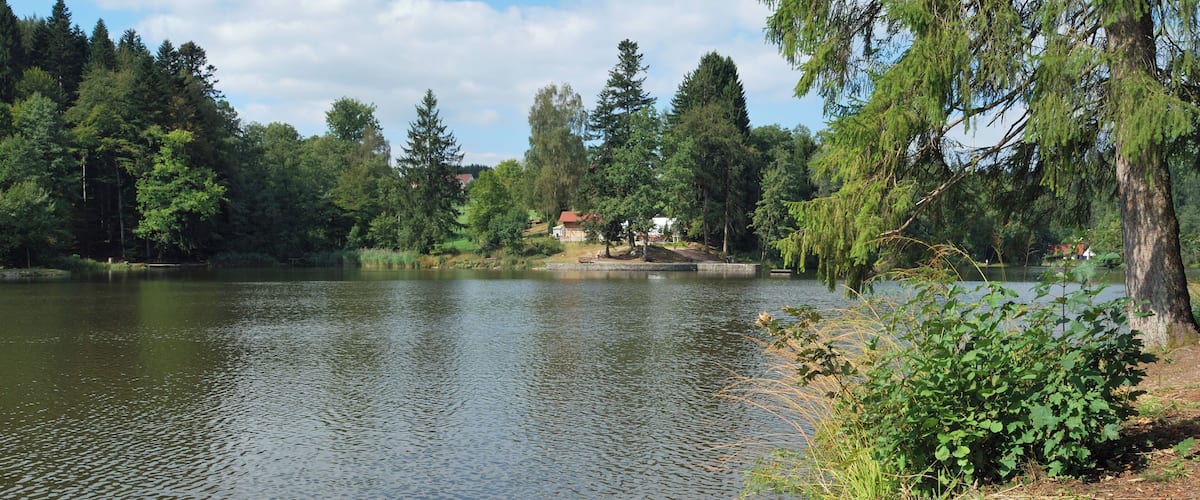 A calm lake surrounded by dense trees and a small building in the background.