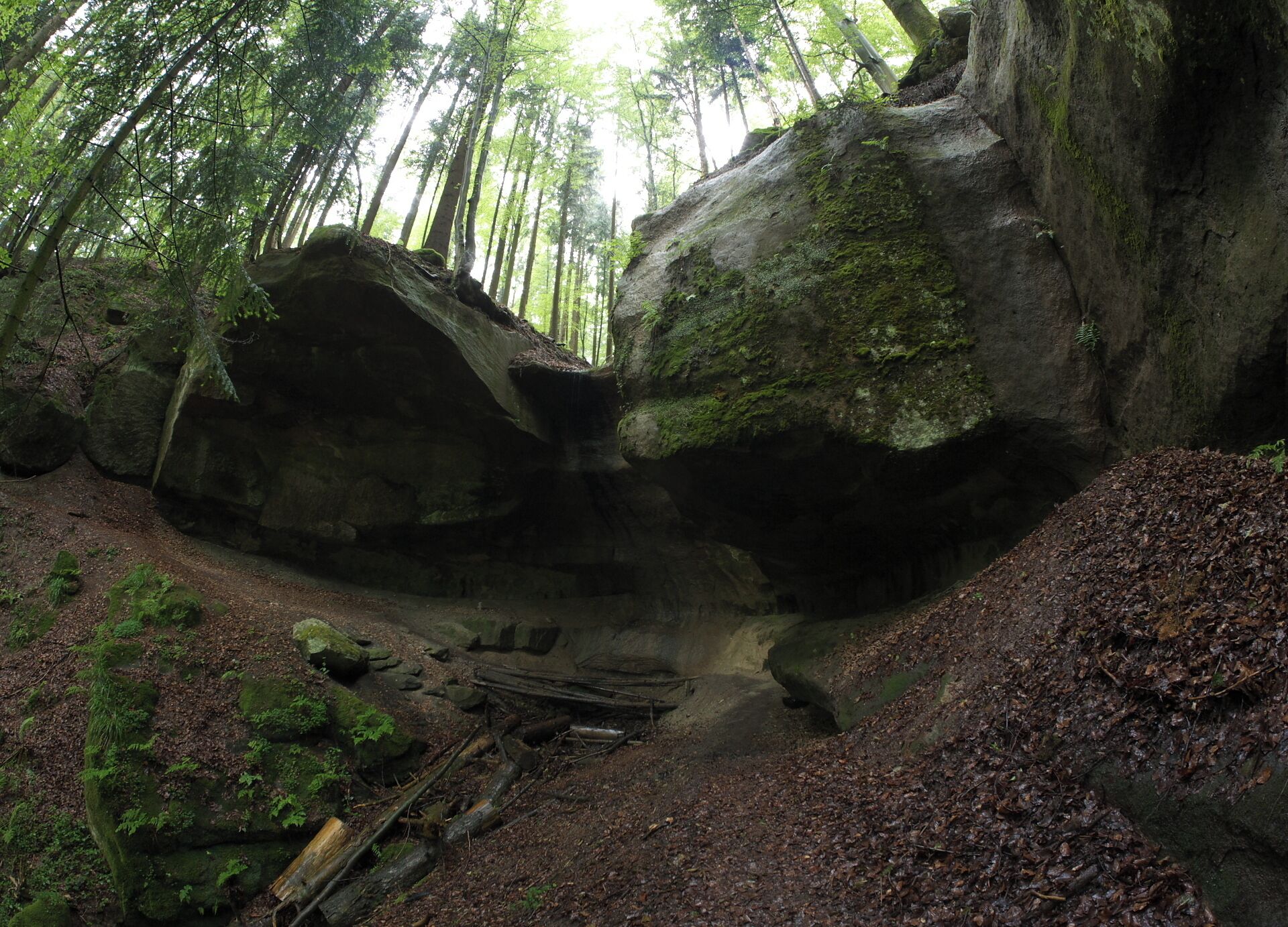 Grotto in the Geldmacherklinge (natural monument; ravine near Welzheim in Baden-Württemberg, Germany)