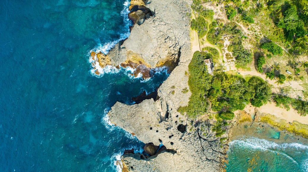 Un paysage côtier caractérisé par des falaises rocheuses, des eaux d’un bleu limpide et une végétation luxuriante.