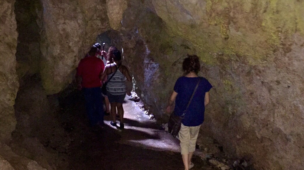 Cavernas de Camuy, Camuy P. R., summer 2015 #crisisland #crisisisland #puertorico #cavernascamuy