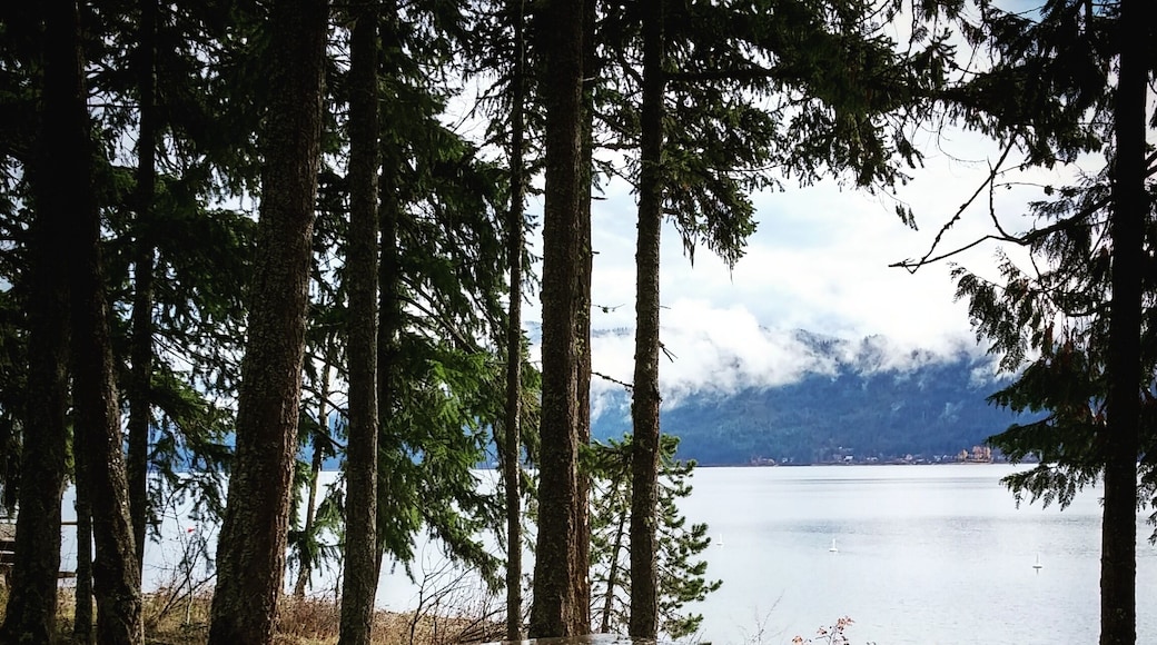 Picnic area and rest room outhouse available if driving through this area.