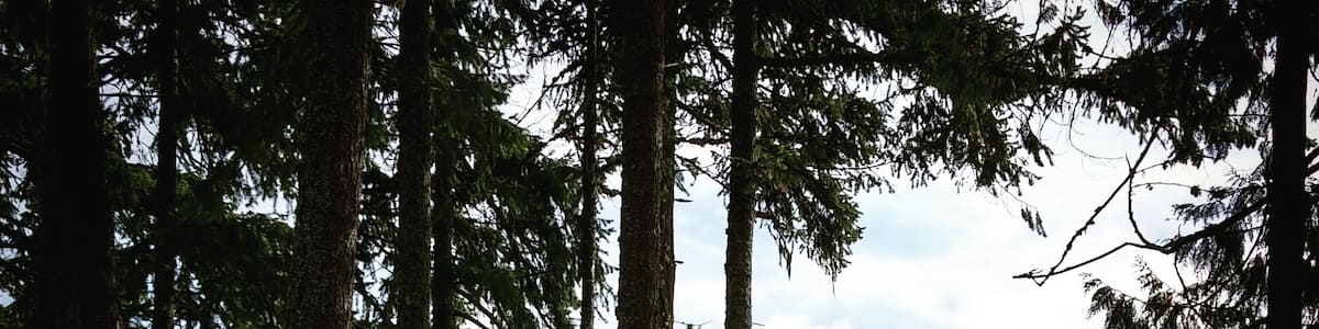 Picnic area and rest room outhouse available if driving through this area.